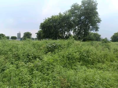Image of 120 Sq.ft Residential Plot / Land for sale in Rohini Sector 28, New Delhi for Rs. 42500000