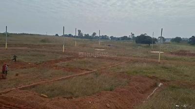 Image of 1500 Sq.ft Residential Plot / Land for sale in Khordha, Khordha District for Rs. 850000