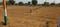 Kalwar Main Image 1