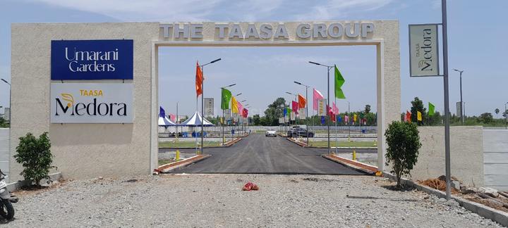 TAASA MEDORA Main Image 1