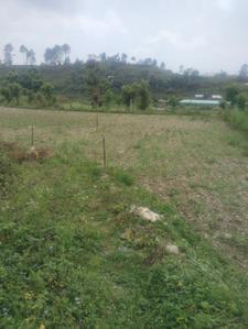 Image of 2160 Sq.ft Residential Plot / Land for sale in Bhimtal, Nainital for Rs. 2800000