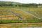 Vijayashree Layout Main Image 1