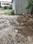 JMS Mega City Main Image 1