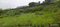 Tupudana Main Image 1