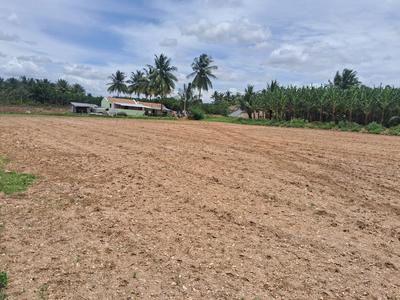 Agricultural Land