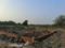 Shree Shyam  society Plot View 2