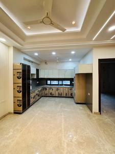 Hall Image of 1602 Sq.ft 3 BHK Builder Floor for rent in Punjabi Bagh New Delhi for Rs. 100000