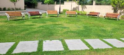 RR IT Plot View 1