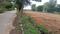 Attibele Main Image 1