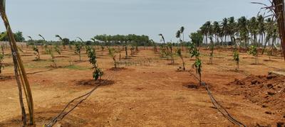 Image of 9500 Sq.ft Residential Plot / Land for sale in Konalai, Tiruchirappalli for Rs. 1850000
