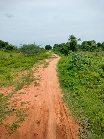 ICF Nagar Thirupachur Main Image 1