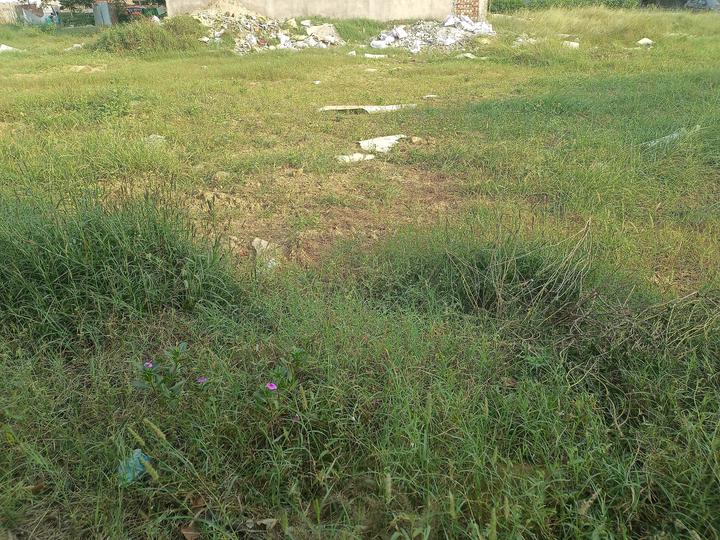 Experion The Westerlies Plots Main Image 1