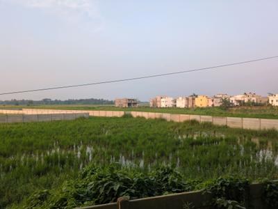 Image of 720 Sq.ft Residential Plot / Land for sale in New Town, Kolkata for Rs. 1212121
