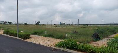 Residential Plot
