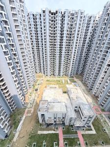 Image of 1115 Sq.ft 2 BHK Apartment / Flat for rent in Amrapali Dream Valley 2, Noida Extension, Greater Noida for Rs. 20000