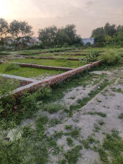 Mohanlalganj Main Image 1