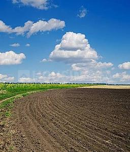 Dharampur Plot View 1