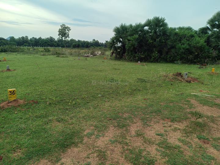 Simhapuri Layout Main Image 1