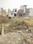 Raja garden Kankhal Main Image 1