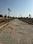 Goner Plot View 2