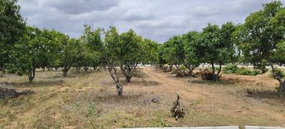 Image of 7405 Sq.ft Residential Plot / Land for sale in Srinivaspur Rural, Kolar for Rs. 4443000