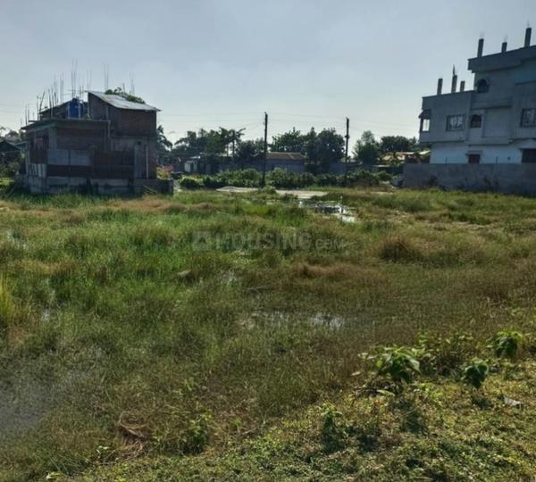 Telipara Main Image 1