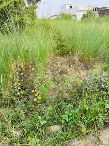 Image of 1200 Sq.ft Residential Plot / Land for sale in Jwalapur, Haridwar for Rs. 3000000