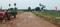 Kankipadu Main Image 1