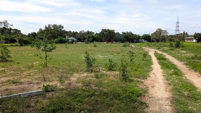 Land for Sale in Mopperipalayam Plot View 2