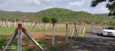 Residential Plot