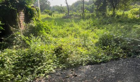 devyog Main Image 1