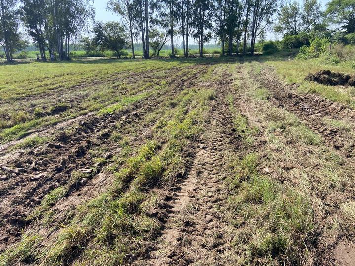 panchkula extension sector 19 Main Image 1