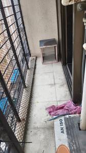 Image of 1010 Sq.ft 3 BHK Apartment / Flat for rent in Borivali West, Mumbai for Rs. 55000