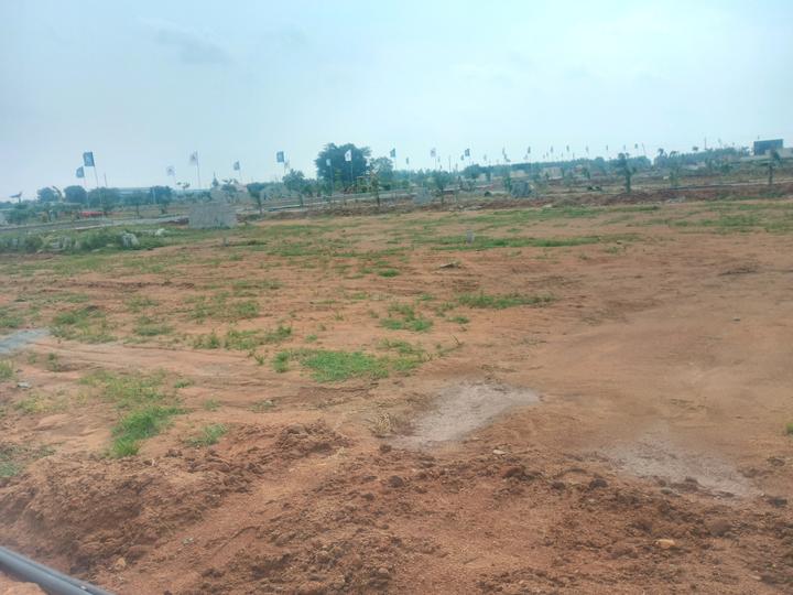Open plot Shadnagar Main Image 1