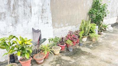 2 BHK Independent House