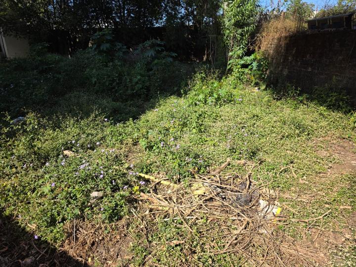 Bharuwala Colony, Clement Town Main Image 1