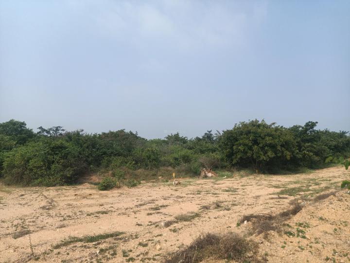 JB Pristine City Main Image 1