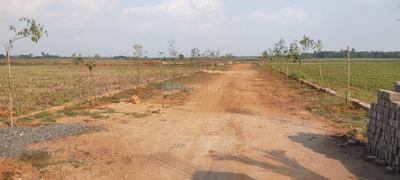 Residential Plot