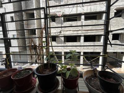 Balcony Image of 715 Sq.ft 2 BHK Apartment / Flat for sale in Arun Excello Sindhuraa, Siruseri Chennai for Rs. 4975000
