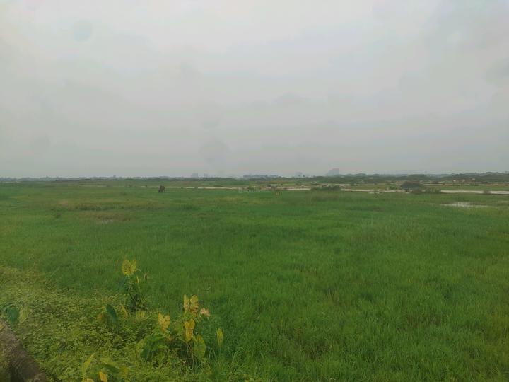 Swapnabhumi Main Image 1