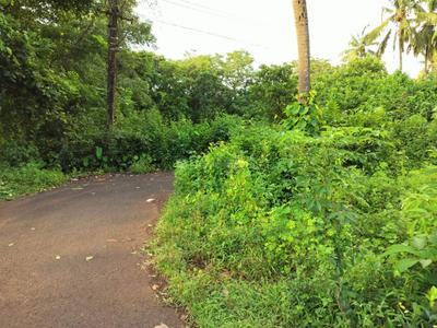 Image of 3700 Sq.ft Residential Plot / Land for sale in Aldona, Goa for Rs. 166500000