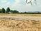 S R RESIDENCY Plot View 2