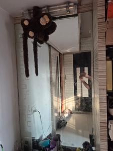 Bedroom Image of 730 Sq.ft 2 BHK Apartment / Flat for sale in Athwa Surat for Rs. 3700000