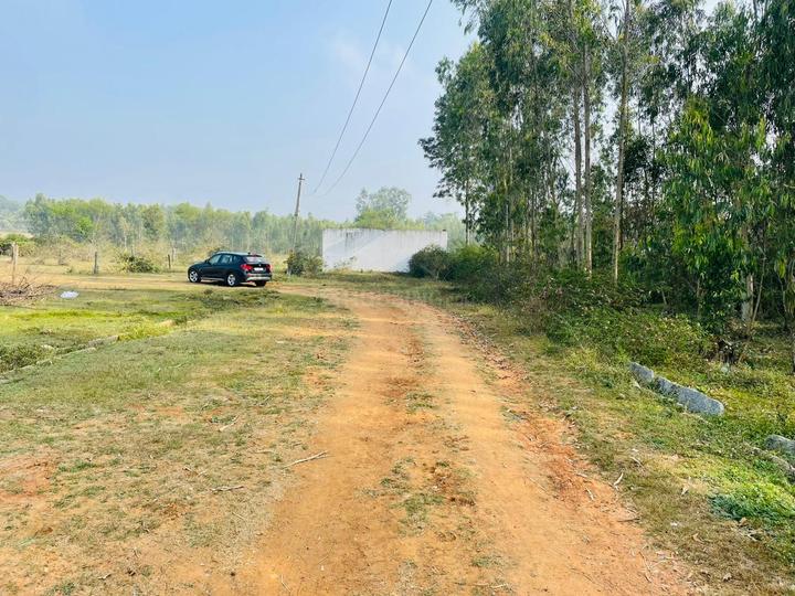 Pillahalli Main Image 1
