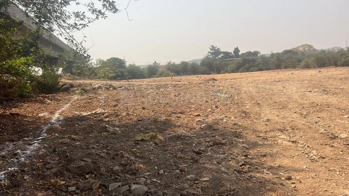 Chirner Main Image 1