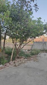 Residential Plot