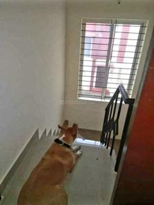 Hall Image of 653 Sq.ft 1 BHK Villa for sale in Artha Citrine, Thattanahalli Bengaluru for Rs. 3000000