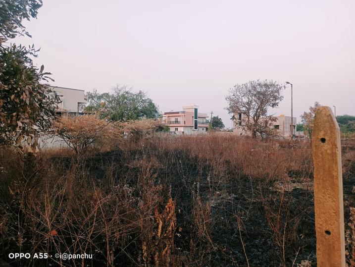 Sulla road Main Image 1