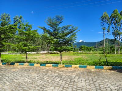 SUKRITHI wendser Plot View 3