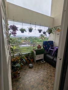 Balcony Image of 820 Sq.ft 2 BHK Apartment / Flat for rent in Geeta Vidhyai Golden Palms, Bhukum Pune for Rs. 22000